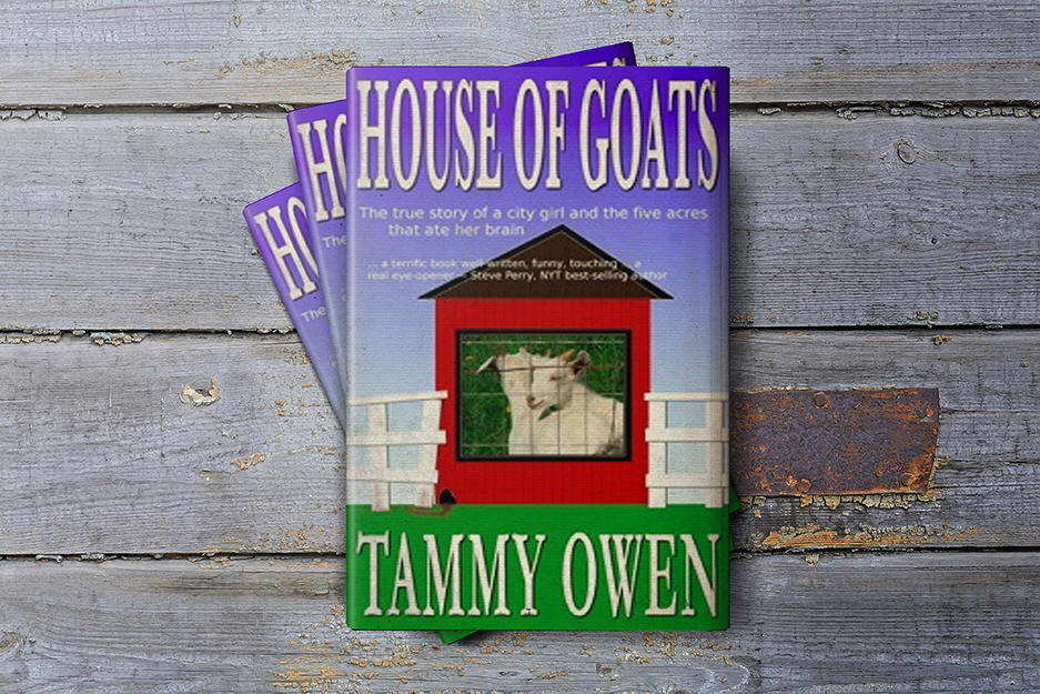 Shop on Amazon in a new window